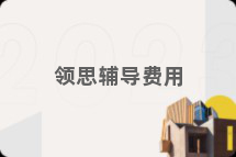 领思辅导费用