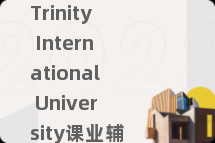 Trinity International University课业辅导