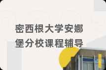 密西根大学安娜堡分校课程辅导