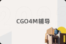 CGO4M辅导
