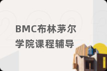 BMC布林茅尔学院课程辅导