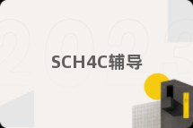 SCH4C辅导