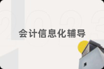 会计信息化辅导