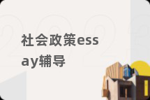 社会政策essay辅导