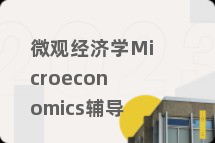 微观经济学Microeconomics辅导