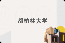 都柏林大学