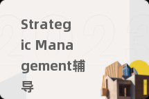 Strategic Management辅导