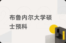 布鲁内尔大学硕士预科