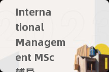 International Management MSc辅导