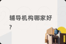 辅导机构哪家好?