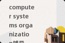 computer systems organization辅导