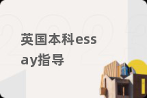 英国本科essay指导