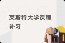 莱斯特大学课程补习