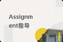 Assignment指导