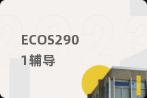 ECOS2901辅导