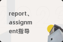 report、assignment指导