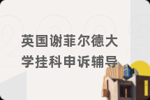 英国谢菲尔德大学挂科申诉辅导