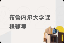 布鲁内尔大学课程辅导
