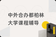 中外合办都柏林大学课程辅导