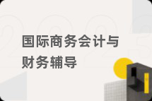 国际商务会计与财务辅导