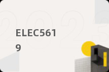 ELEC5619