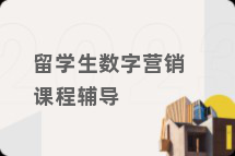 留学生数字营销课程辅导
