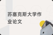 苏塞克斯大学作业论文