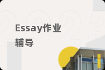 Essay作业辅导
