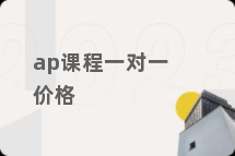 ap课程一对一价格