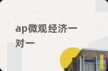 ap微观经济一对一