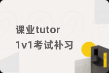 课业tutor1v1考试补习