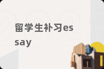 留学生补习essay