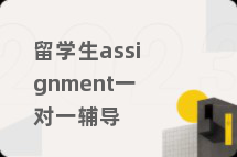 留学生assignment一对一辅导