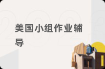美国小组作业辅导