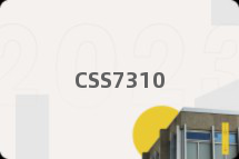 CSS7310