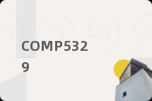 COMP5329