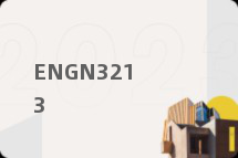 ENGN3213