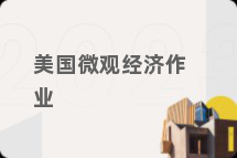 美国微观经济作业