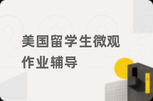美国留学生微观作业辅导