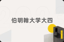 伯明翰大学大四
