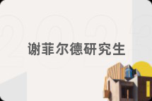 谢菲尔德研究生