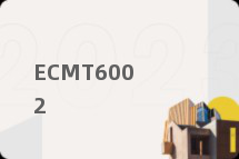 ECMT6002