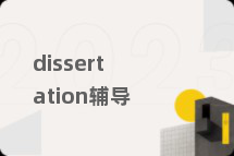 dissertation辅导
