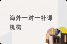 海外一对一补课机构