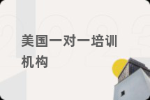 美国一对一培训机构