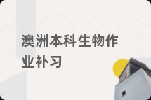 澳洲本科生物作业补习