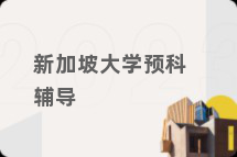 新加坡大学预科辅导