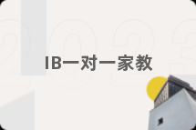 IB一对一家教